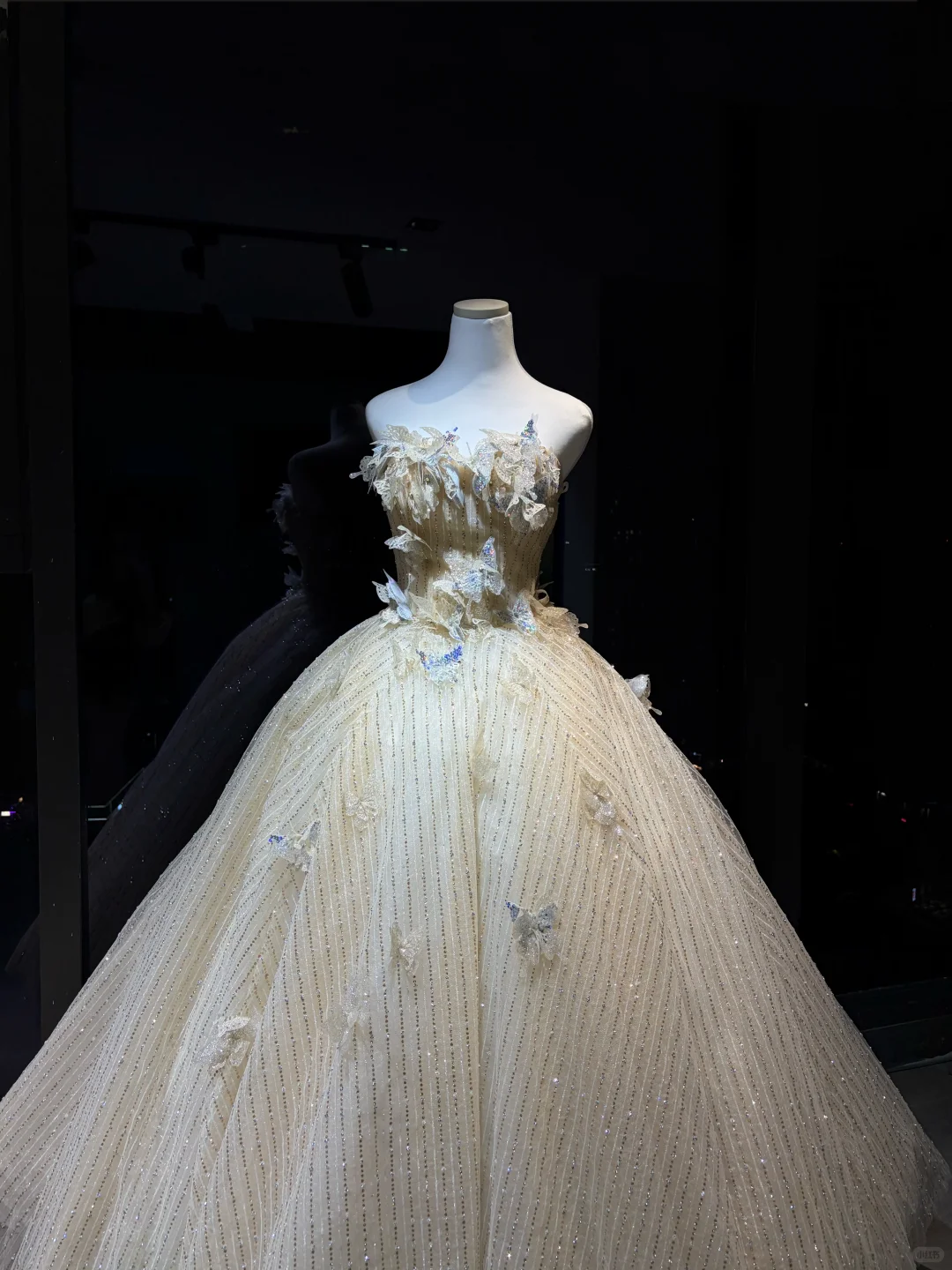Champagne 3D Butterfly Rhinestone Tulle Princess Ball Gown NV7091