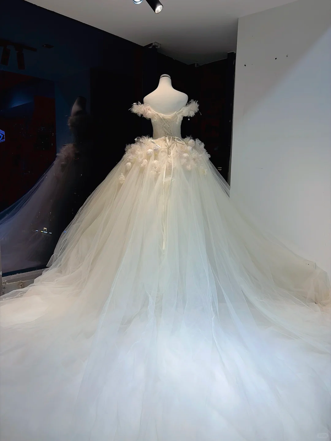 Ivory Off Shoulder Ball Gown 3D Floral Feather Beaded Tulle Wedding Dress NV6965