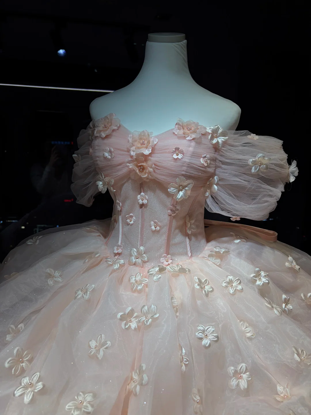 Light Pink Off Shoulder Tulle Ball Gown, Puff Sleeve Corset Dress with 3D Flowers  NV7084