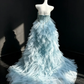 Dusty Blue Strapless Formal Gown Beaded Rhinestone Feather Detachable Tulle Train Evening Dress  NV6970