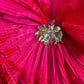 Dunkelrosa Blumenprinzessin langes Tüll-Ballkleid Abendkleid Quinceanera Kleid NV4655
