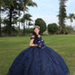 Blue sweet gorgeous elegant long adult dress prom dress party dress nv2459