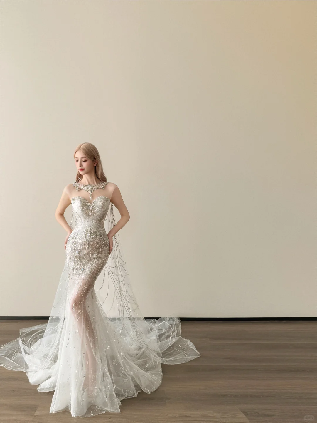 Halter Sweetheart Sheer Mermaid Wedding Dress Beaded Tassel Tulle Train  NV7141