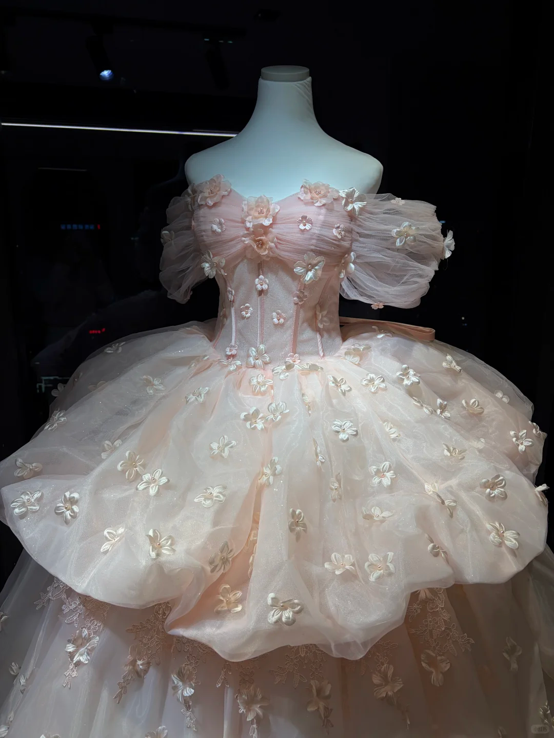 Light Pink Off Shoulder Tulle Ball Gown, Puff Sleeve Corset Dress with 3D Flowers  NV7084