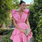 Rosa, modisches, schickes Homecoming-Kleid mit tiefem V-Ausschnitt, Partykleid nv2124