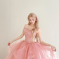 Dusty Pink One Shoulder Tulle Ball Gown Butterfly Embroidery Prom Dress  NV7180