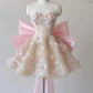 Robe de soirée courte en tulle rose, douce et délicate, ornée de perles et de paillettes scintillantes, robe de bal, robe de soirée, robe d'anniversaire, nv2797