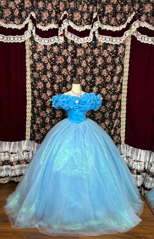 Blaues Prinzessin Cinderella langes Tüll-Ballkleid Abendkleid Quinceanera-Kleid NV4647