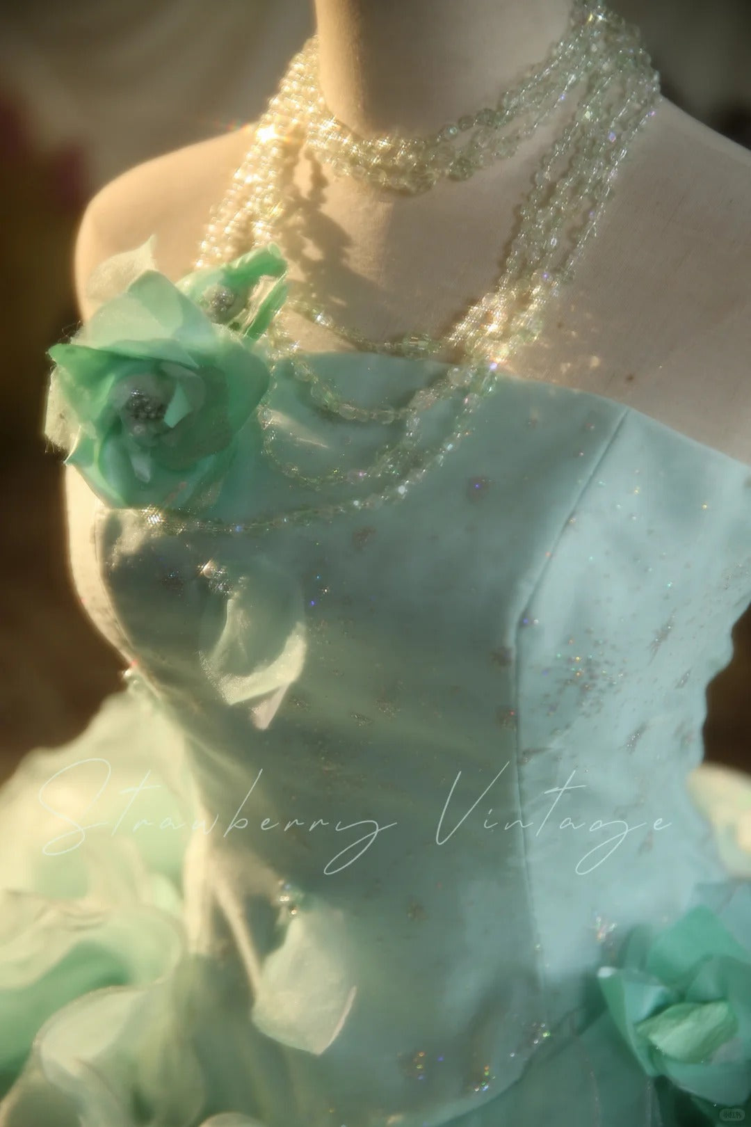 Robe de bal longue en tulle à fleurs vert menthe vintage nv5037
