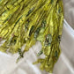 Robe de soirée courte jaune et verte, motif floral, perles, style féerique, en mousseline de soie, tenue de bal, nv5389