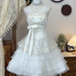 Weißes, modisches, florales Applique-Kurzes Chiffon-Heimkehrkleid, Geburtstagskleid, Bankettkleid, Partykleid, nv4559