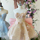 Robe de soirée courte en tulle rose, douce et délicate, ornée de perles et de paillettes scintillantes, robe de bal, robe de soirée, robe d'anniversaire, nv2797