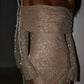 Champagner-gold/graues, mit Pailletten besetztes, langes, schulterfreies Ballkleid mit langen Ärmeln, Partykleid NV5295