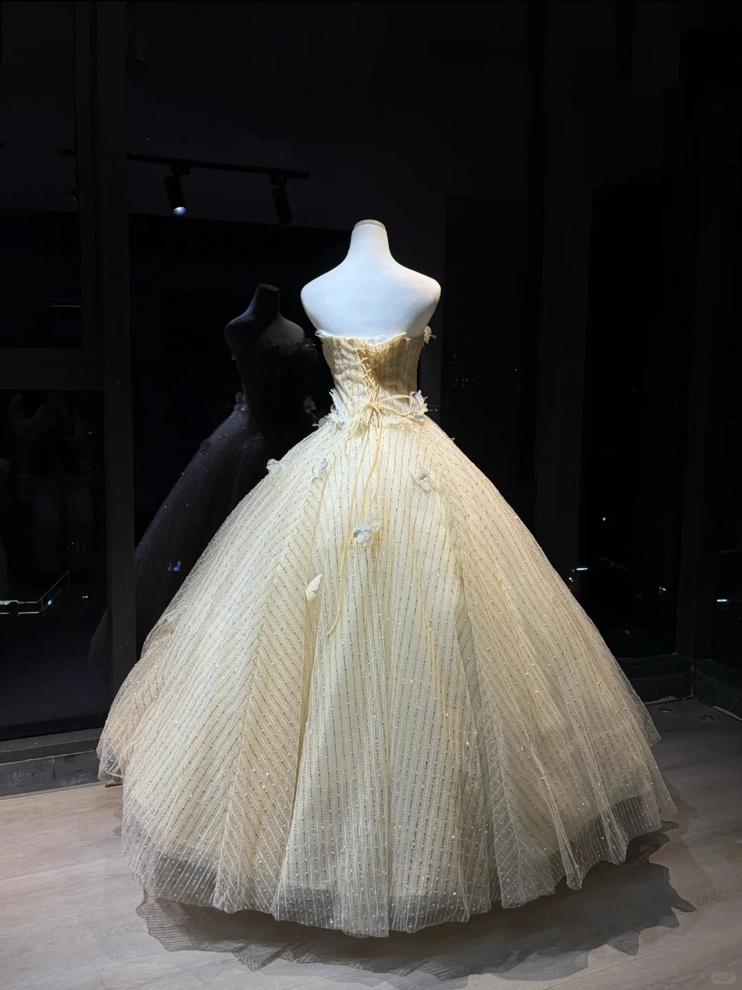 Champagne 3D Butterfly Rhinestone Tulle Princess Ball Gown  NV7091