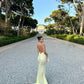 Yellow Fashion Elegant V-neck Mermaid Tulle Sequin Long Ball Gown Evening Gown Party Dress nv2441