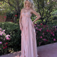 Pink Chiffon Sweet Dreamy Starfish Decorated Maxi Dress Long Evening Dress Party Dress nv2690