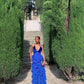 Blue fashion tassel ruffle spaghetti strap long ball gown evening dress party dress nv2898