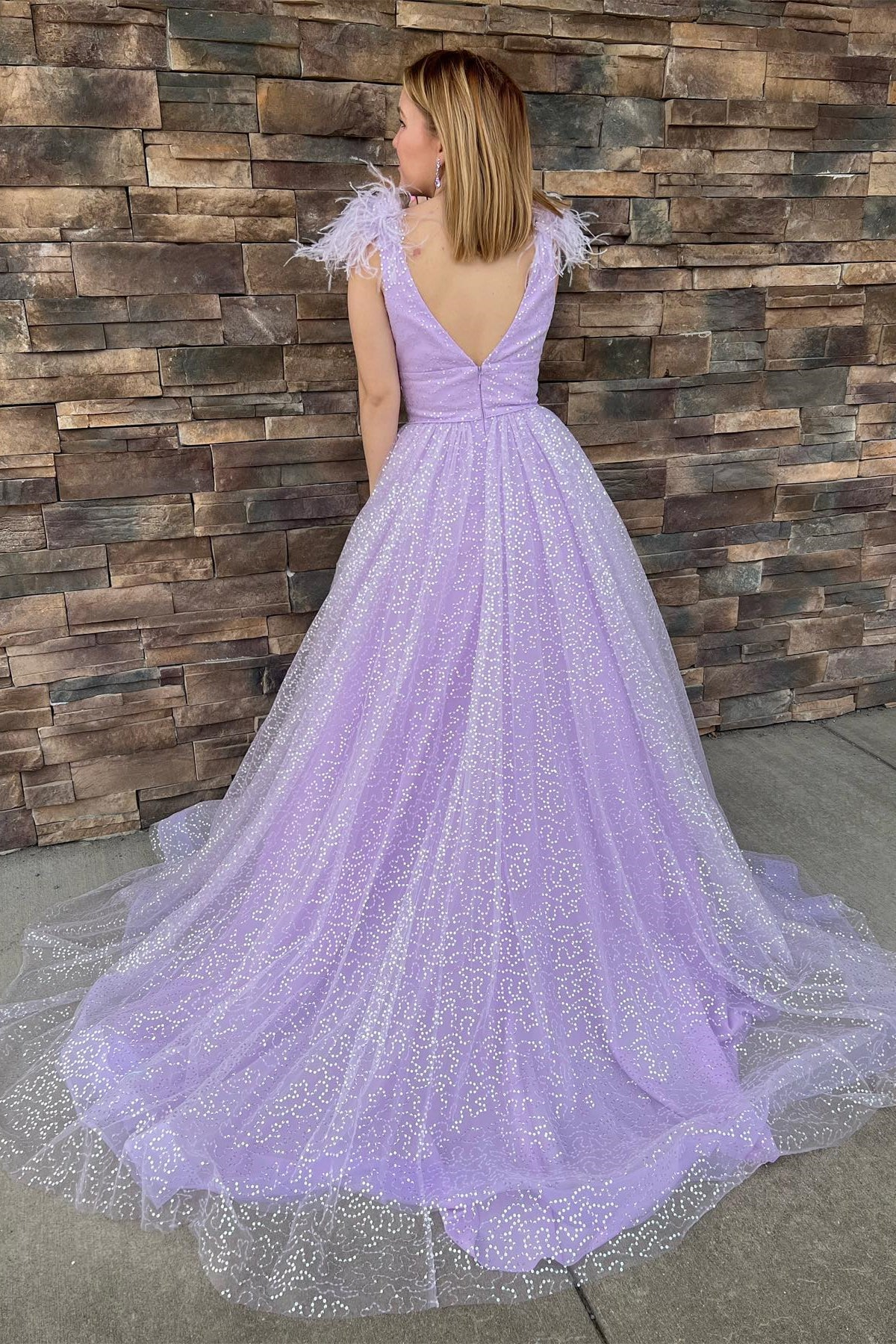 Glitter Feathers V-Neck Empire Waist A-Line Prom Gown nv1044